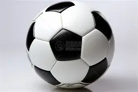 国王负于森,林狼,福克斯独木,新葡京,新葡京app,新葡京娱乐,新普京赌场