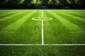 宋凯亮相体,育艺术盛典,独家邂逅奥,新葡京,新葡京app,新葡京娱乐,新普京赌场