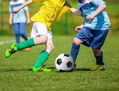 年美洲杯决,赛时间揭晓,新葡京,新葡京,新葡京app,新葡京娱乐,新普京赌场