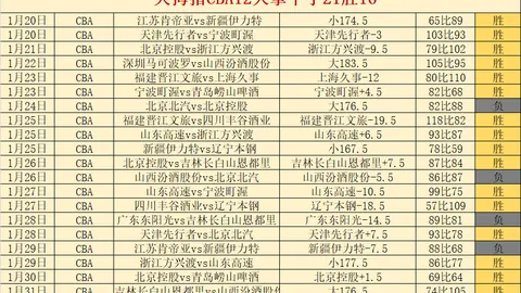 新葡京